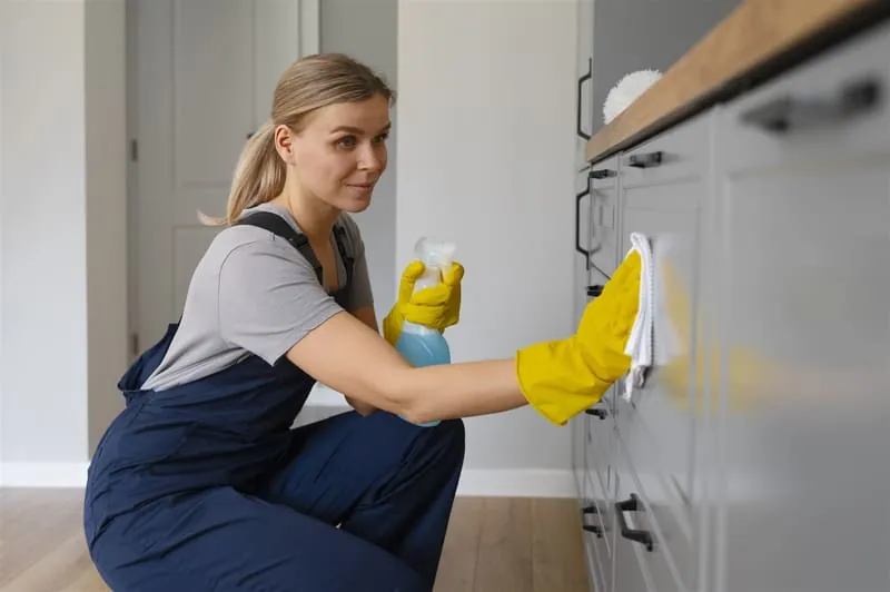 Regular domestic cleaning — Kerdos Pro Solutions